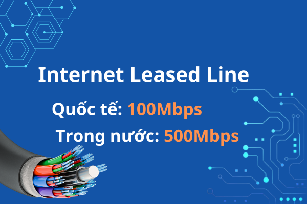 Internet trực tiếp 100Mbps quốc tế